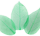 Ukrasno lišće za nokte ASNSP - Zeleno